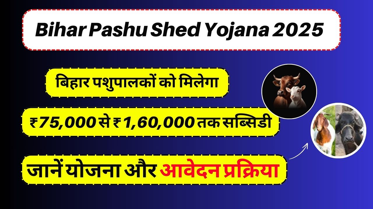 Bihar Pashu Shed Yojana 2025: बिहार पशुपालकों को मिलेगा ₹75,000 से ₹1,60,000 तक सब्सिडी, जानें योजना और आवेदन प्रक्रिया