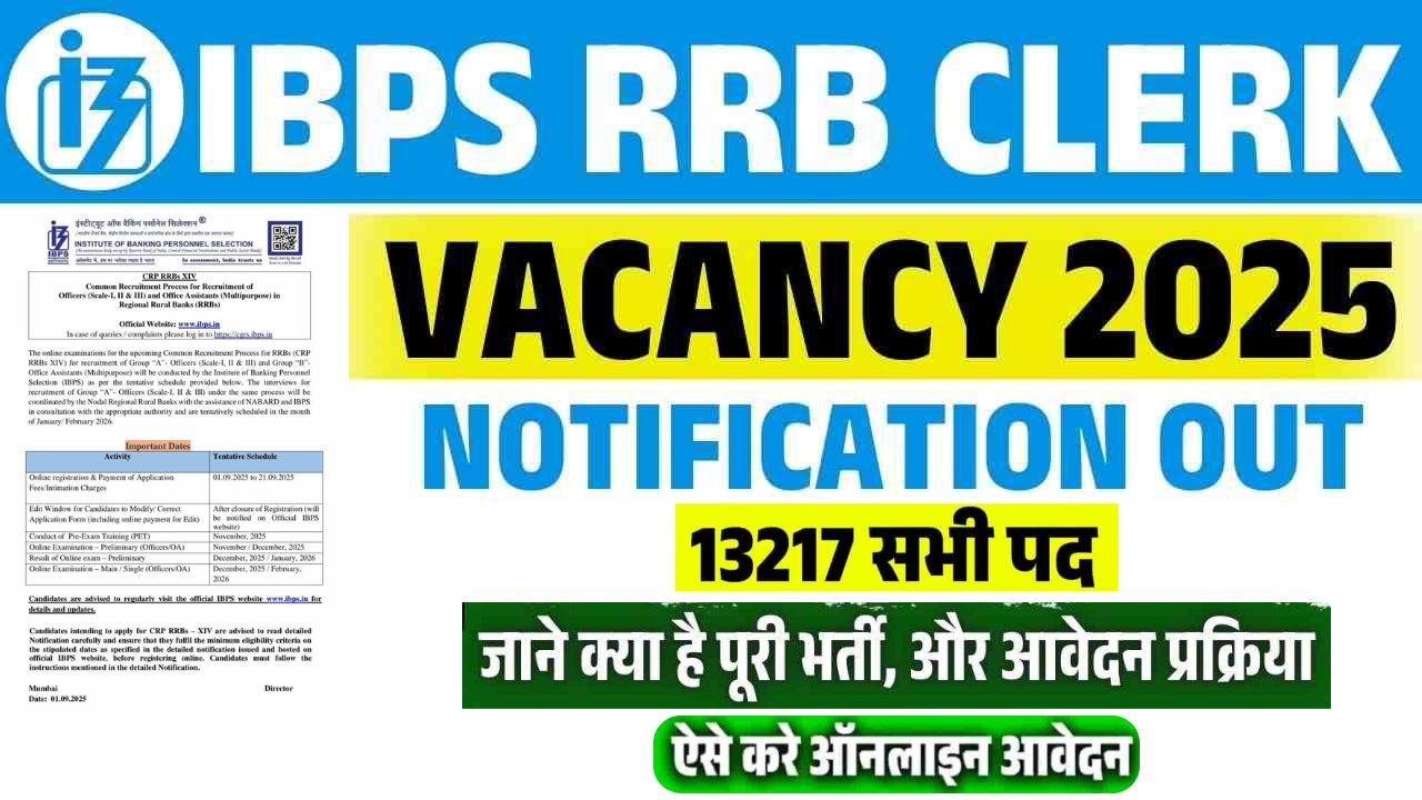 IBPS RRB Clerk Vacancy 2025 Apply Online – Notification Out for 13,217 Posts, Check Eligibility, Dates & Process