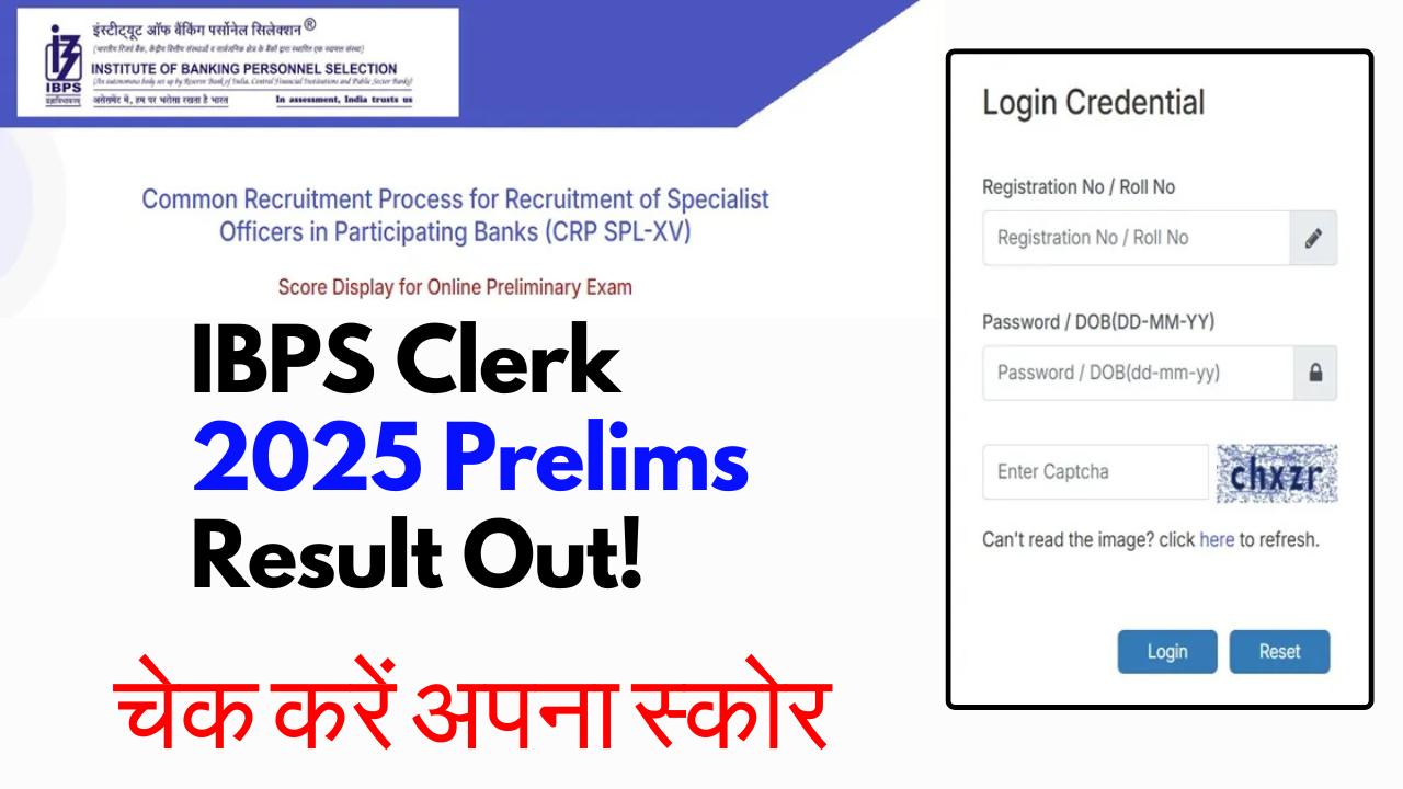 IBPS Clerk 2025 Prelims Result Out! आज ही चेक करें अपना स्कोर और मेन्स तैयारी टिप्स